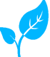Kanti Foundation